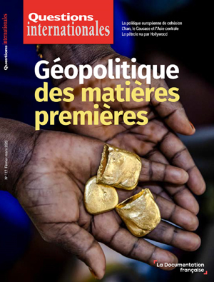 Questions Internationales : Géopolitique des matières premières - n°117 | Eyl-Mazzega, Marc-Antoine