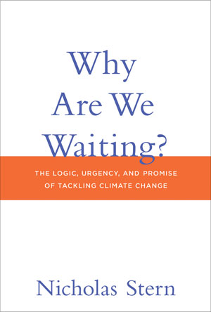 Why Are We Waiting? | Stern, Nicholas