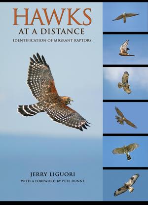 Hawks at a Distance | Liguori, Jerry