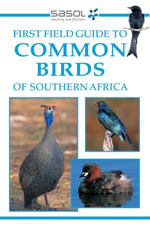 Sasol First Field Guide to Common Birds of Southern Africa | Hawthorne, Tracey