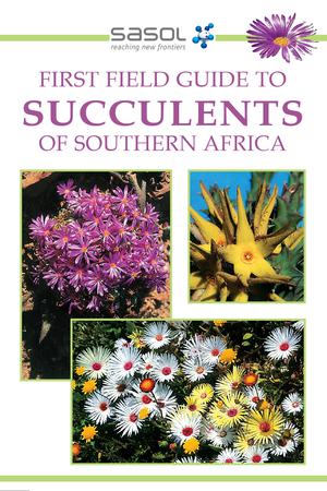 Sasol First Field Guide to Succulents of Southern Africa | Manning, John