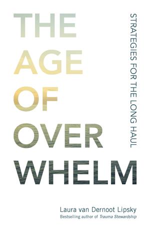 The Age of Overwhelm | Van Dernoot Lipsky, Laura