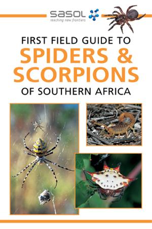 Sasol First Field Guide to Spiders & Scorpions of Southern Africa | Hawthorne, Tracey