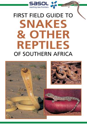 First Field Guide to Snakes & other Reptiles of Southern Africa | Hawthorne, Tracey