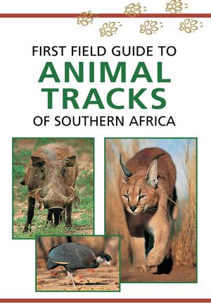 First Field Guide to Animal Tracks of Southern Africa | Liebenberg, Louis