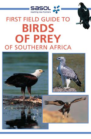 First Field Guide to Birds of Prey of Southern Africa | Allan, David