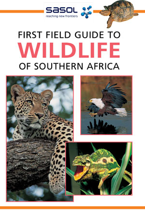 First Field Guide to Wildlife of Southern Africa | Fraser, Sean