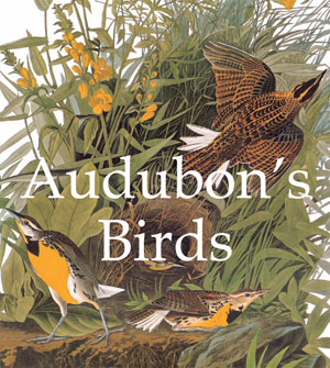 Audubon's Birds | Audubon, John James