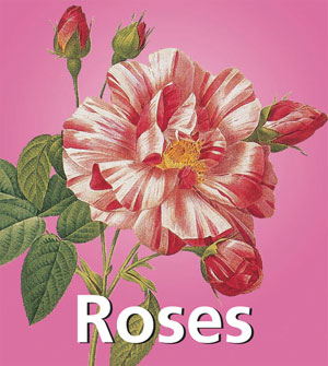 Roses | Redouté, Pierre-Joseph