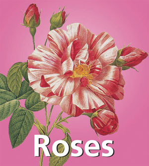 Roses | Redouté, Pierre-Joseph