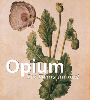 Opium | Wigal, Donald