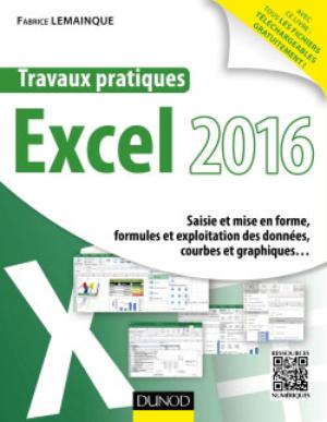 Travaux pratiques avec Excel 2016 | Lemainque, Fabrice