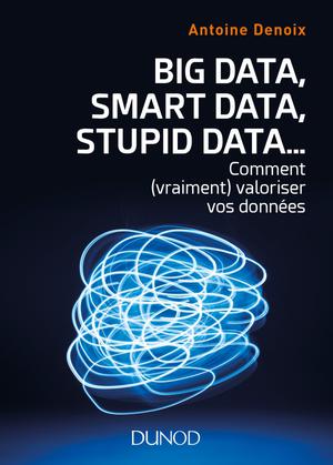 Big Data, Smart Data, Stupid Data… | Denoix, Antoine
