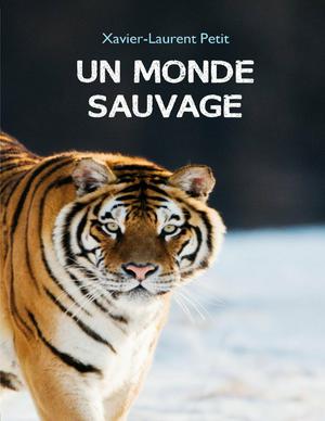 Un monde sauvage | Petit, Xavier-Laurent