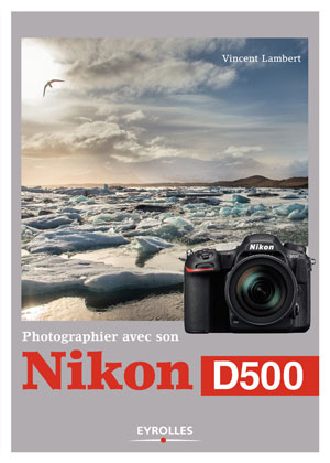 Photographier avec son Nikon D500 | Lambert, Vincent
