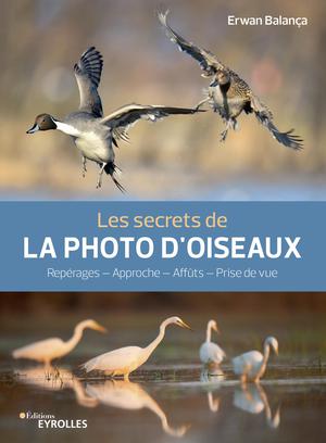 Les secrets de la photo d'oiseaux | Balança, Erwan