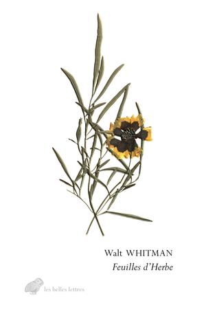 Feuilles d’Herbe | Whitman, Walt
