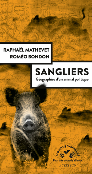 Sangliers, géographies d'un animal politique | Mathevet, Raphaël