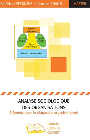 Analyse sociologique des organisations | Ferguène, Améziane