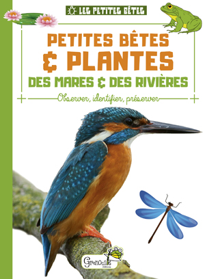 Petites bêtes & plantes des mares & des rivière | Collectif