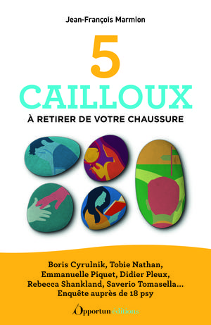 5 cailloux à retirer de votre chaussure pour mieux vivre au quotidien | Marmion, Jean-François