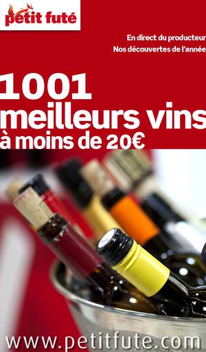 1001 Meilleurs vins 2013 Petit Futé | Auzias, Dominique