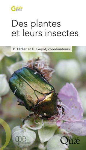 Des plantes et leurs insectes | Didier, Bruno