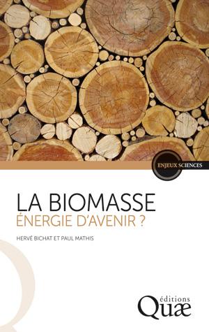 La biomasse, énergie d'avenir ? | Bichat, Hervé