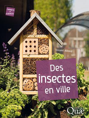 Des insectes en ville | Albouy, Vincent