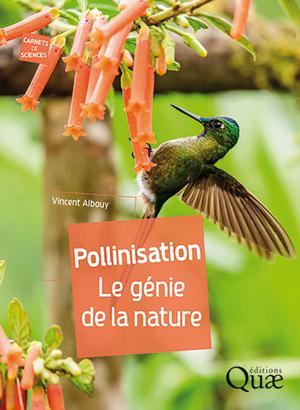Pollinisation | Albouy, Vincent