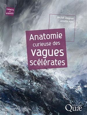 Anatomie curieuse des vagues scélérates | Olagnon, Michel