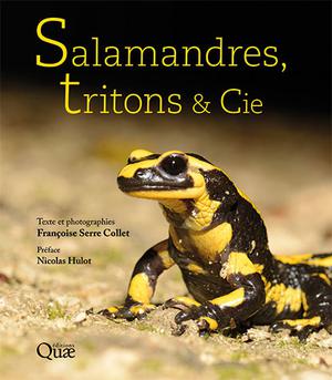 Salamandres, tritons & cie | Serre Collet, Françoise