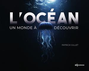 L’océan | Gillet, Patrick