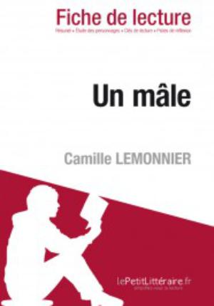 Un mâle de Camille Lemonnier (Fiche de lecture) | 