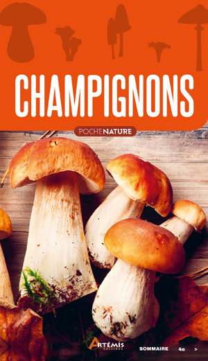 Champignons | Polese, Jean-Marie