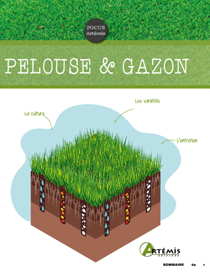Pelouse & gazon | Collectif