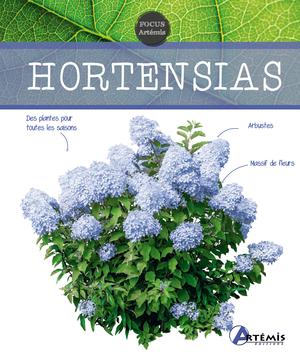 Hortensias | Sasias, Gérard