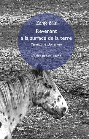 Revenant à la surface de la terre | Farazzi, Patricia