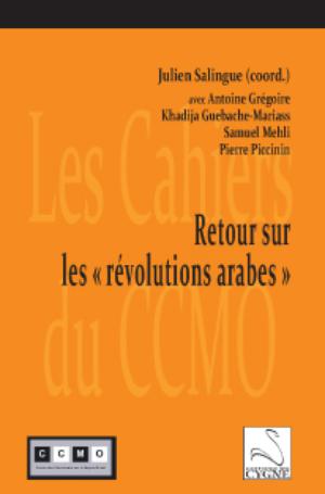 Retour sur les révolutions arabes | Salingue, Julien