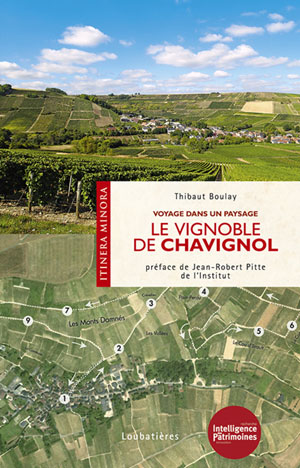 Le vignoble de Chavignol | Boulay, Thibaut