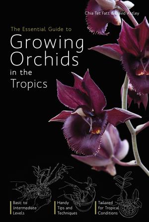 The essential guide to growing orchids in the tropics | Chia, Tet Fatt