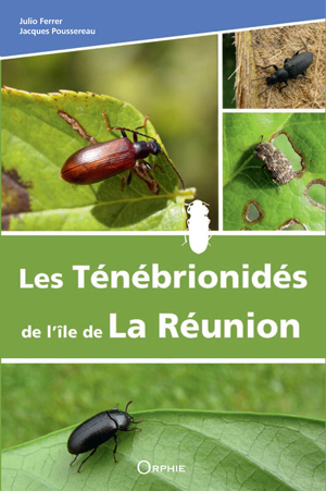 Les ténébrionidés de l'île de La Réunion | Ferrer, Julio